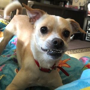 Meet your Posher, Serena